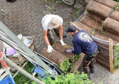 Dachbegrünung Dachpflanzen Erholung 1