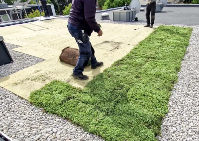 Dachbegrünung Dachpflanzen Erholung 23